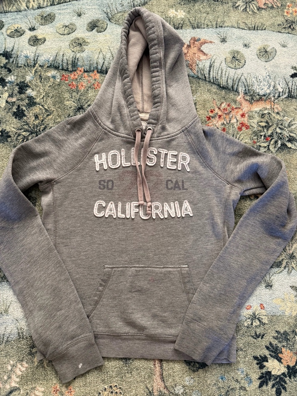 Y2K Hollister Gray Hoodie Size M, fits small